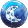 Brunswick Sun and Moon Viz-A-Ball Bowling Ball - Image 2
