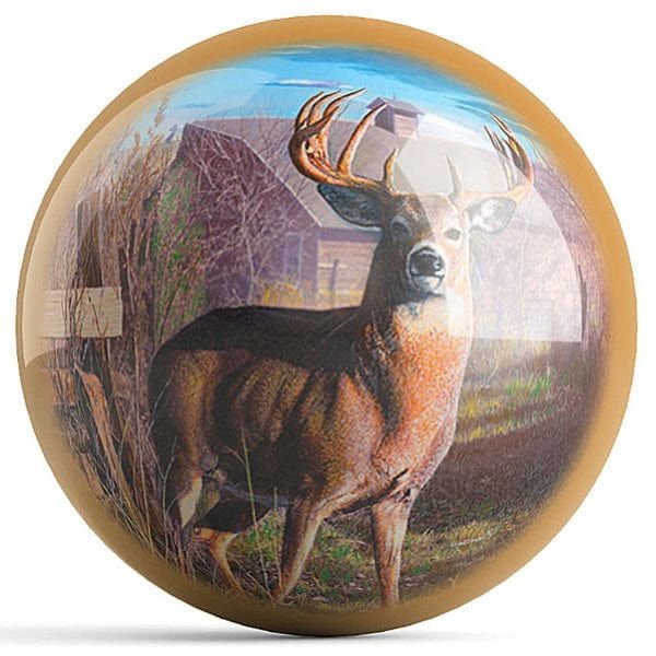 Ontheballbowling Back Forty Bucks Bowling Ball by Kevin Daniel - Image 2